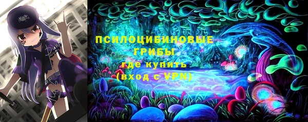 соль ск Балабаново