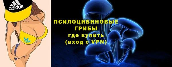 соль ск Балабаново