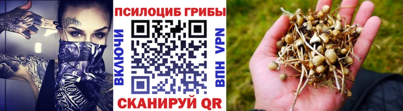 Галлюциногенные грибы прущие грибы  Костерёво 